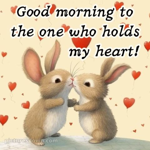 Romantic good morning love picture 17 free download