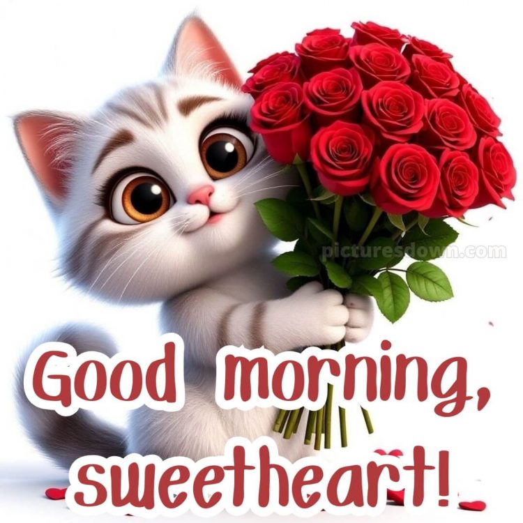 Romantic good morning love picture 19 free download