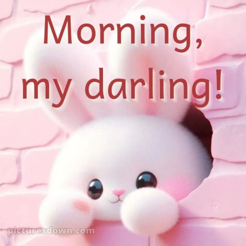 Romantic good morning love picture 20 free download