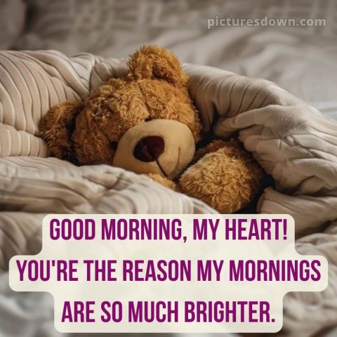 Romantic good morning love picture 22 free download