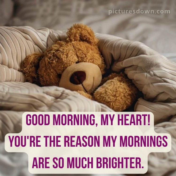 Romantic good morning love picture 22 free download