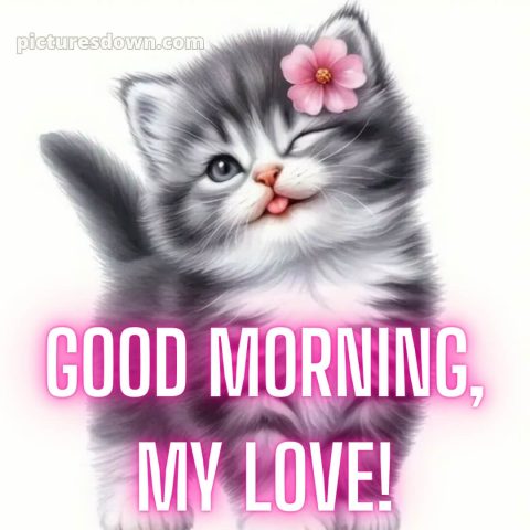 Romantic good morning message for her picture 25 free download