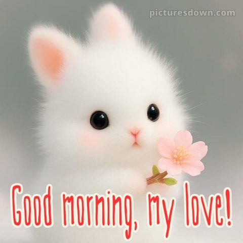 Romantic good morning message for her picture 17 free download