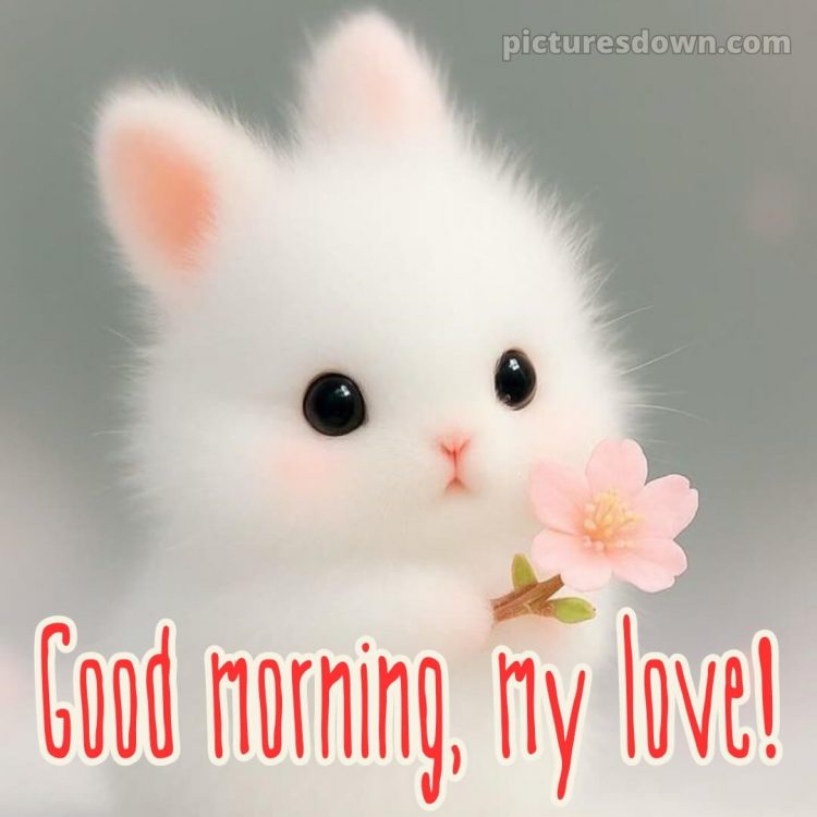 Romantic good morning message for her picture 17 free download