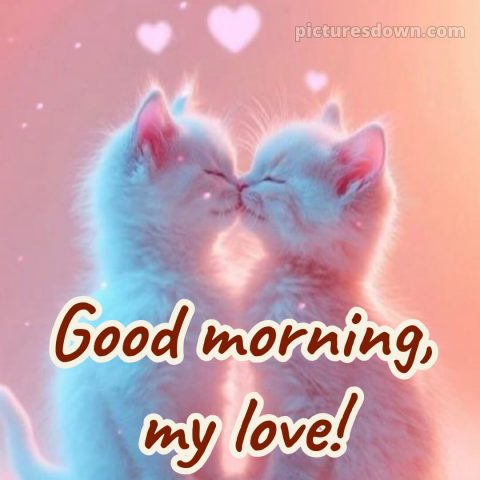 Romantic good morning messages picture 28 free download