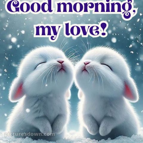 Romantic good morning messages picture 17 free download