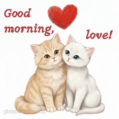 Romantic good morning messages picture 24 free download