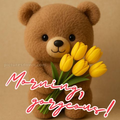 Romantic good morning sweetheart picture 16 free download