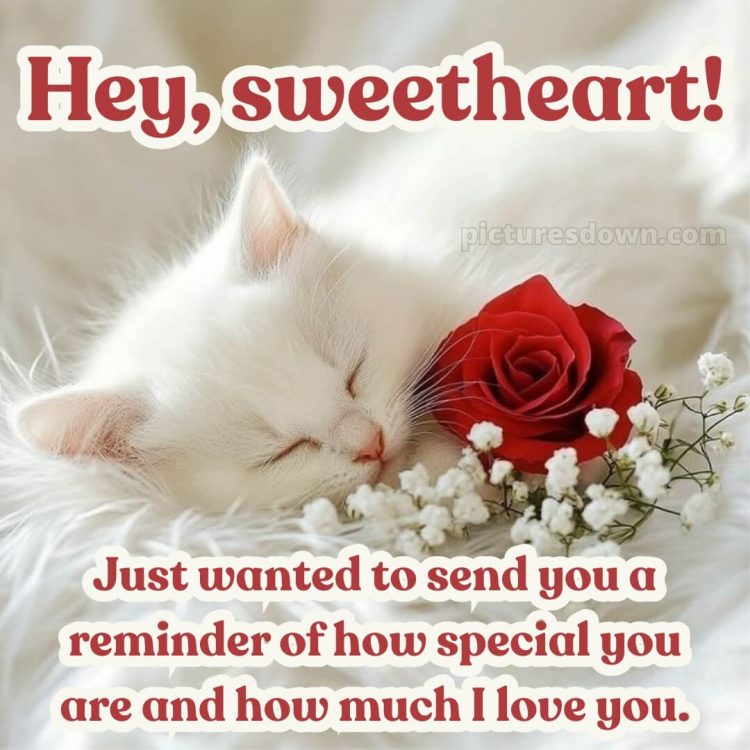 Romantic good morning sweetheart picture 18 free download