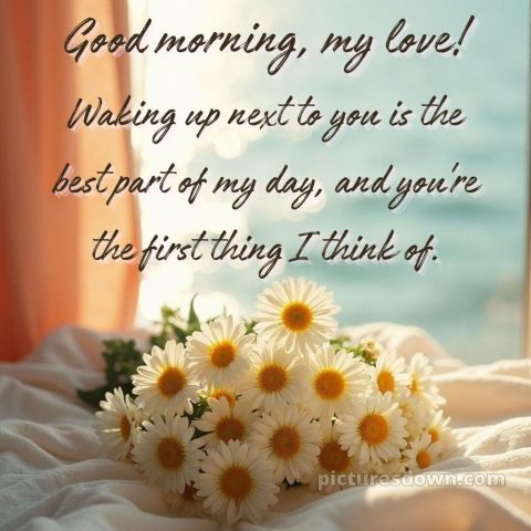 Romantic good morning wife picture 1 free download