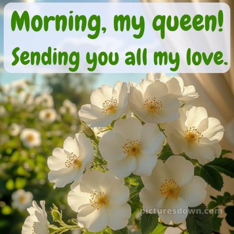 Romantic good morning wife picture 2 free download