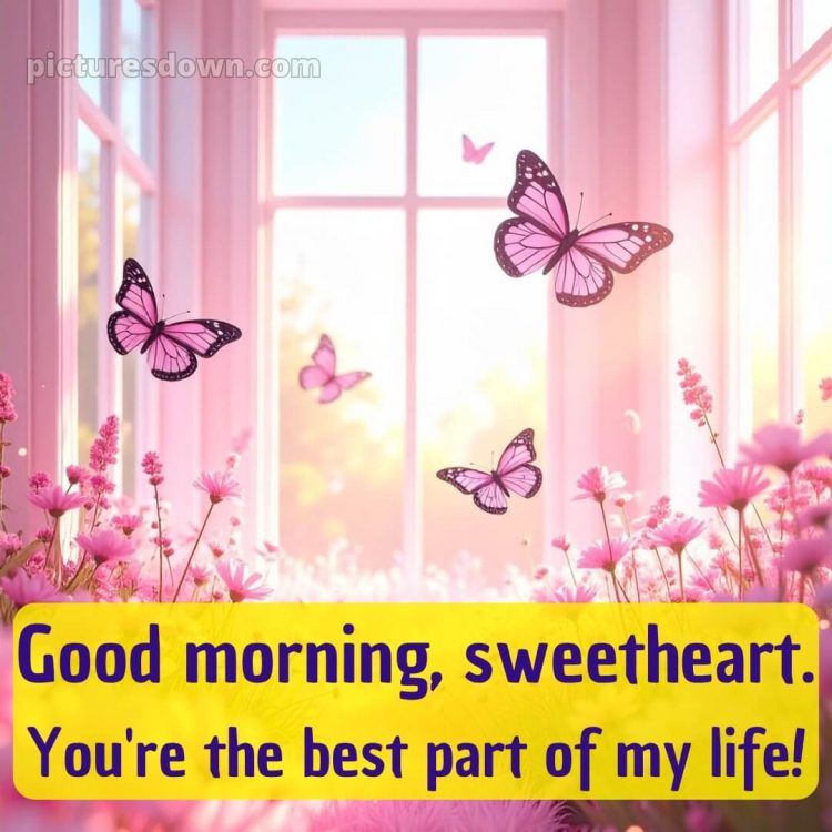 Romantic good morning wife picture 7 free download