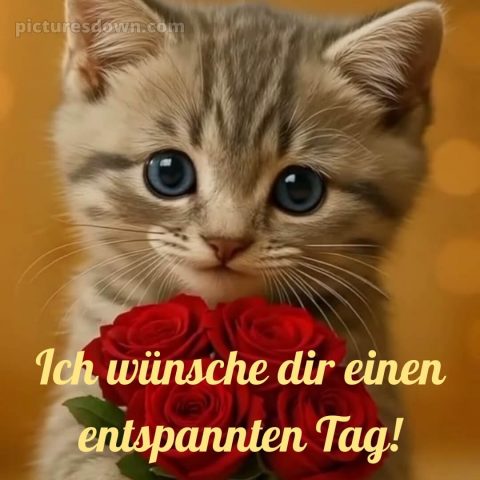 Das wünsche ich dir bild 11 kostenlos