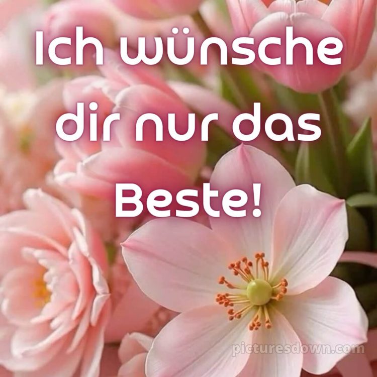 Das wünsche ich dir bild 14 kostenlos