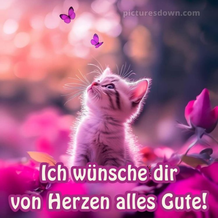 Das wünsche ich dir bild 2 kostenlos