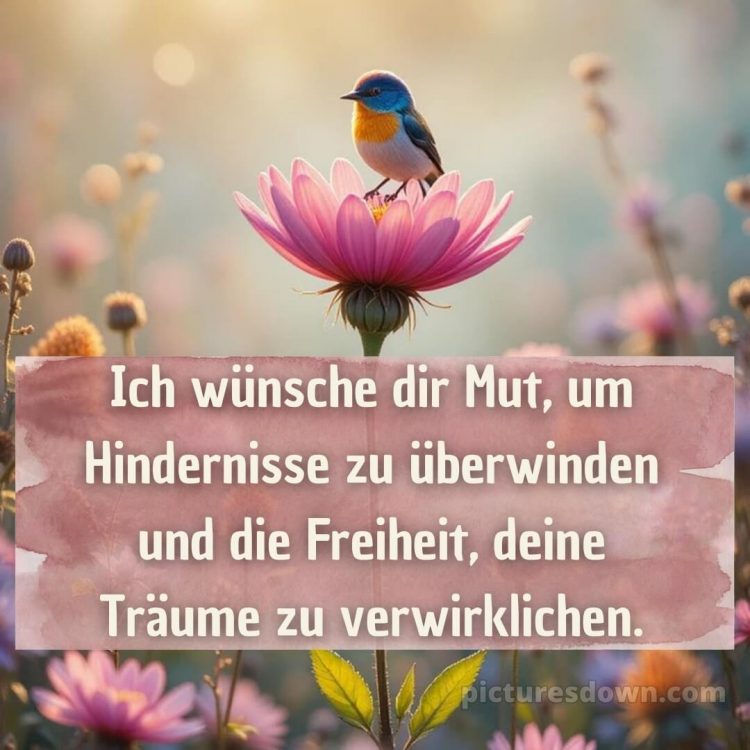 Das wünsche ich dir bild 4 kostenlos