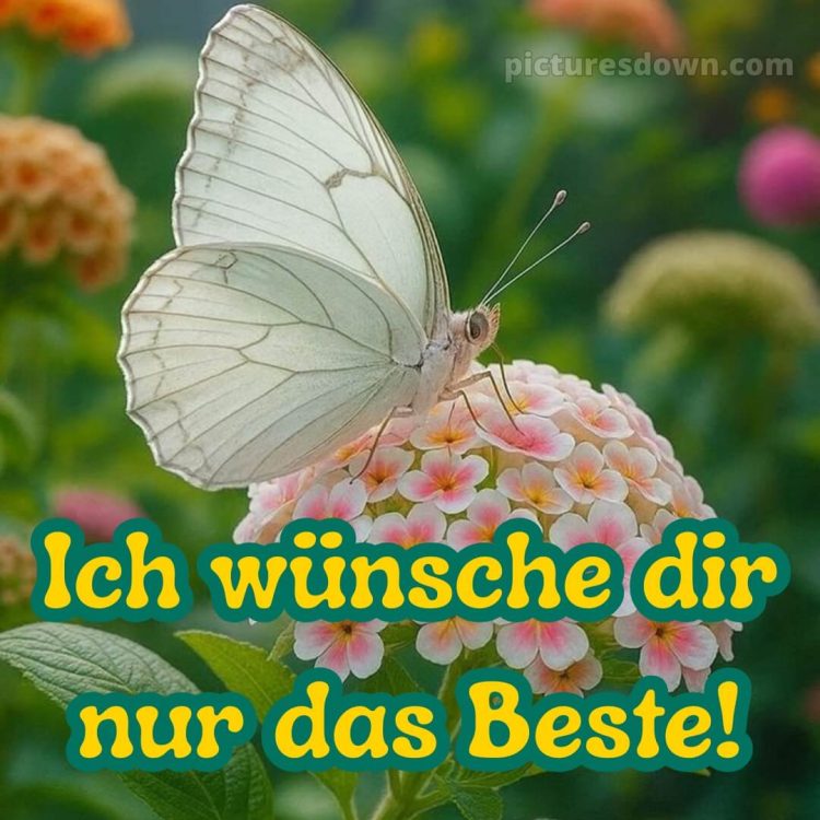 Das wünsche ich dir bild 7 kostenlos