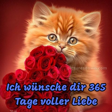 Das wünsche ich dir bild 8 kostenlos