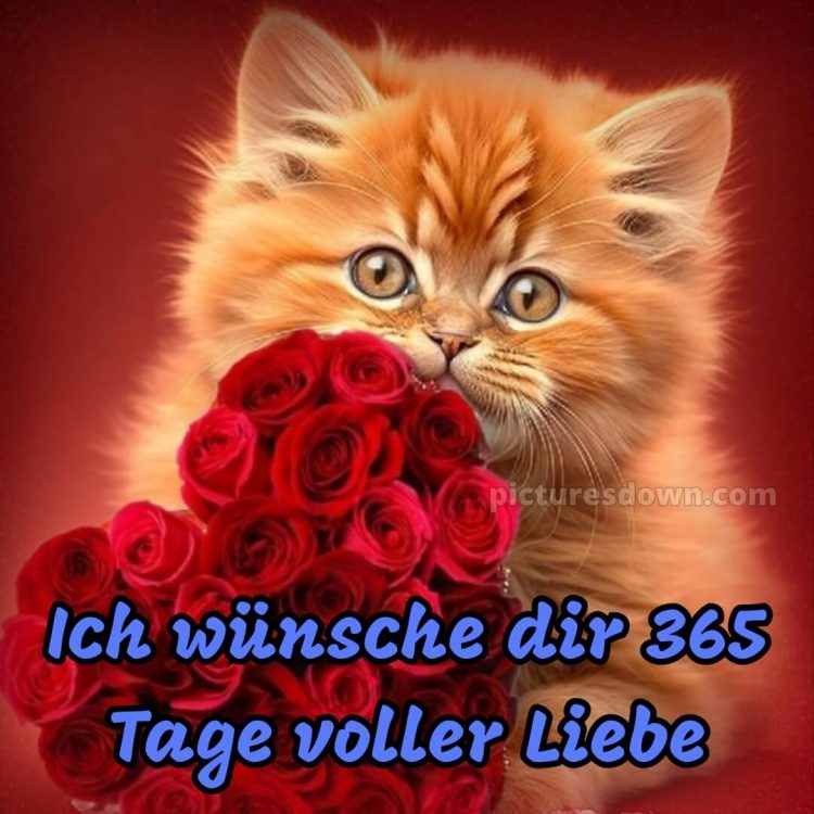 Das wünsche ich dir bild 8 kostenlos