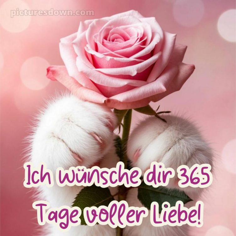 Das wünsche ich dir bild 9 kostenlos