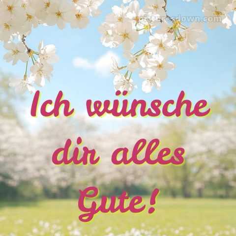 Ich wünsche dir alles gute bild 16 kostenlos