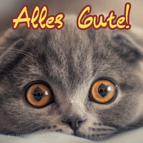 Ich wünsche dir alles gute bild 25 kostenlos