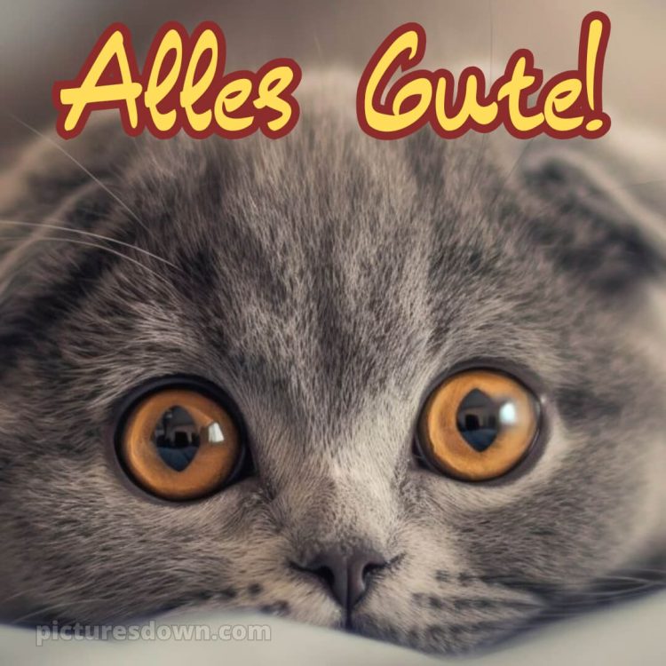 Ich wünsche dir alles gute bild 25 kostenlos