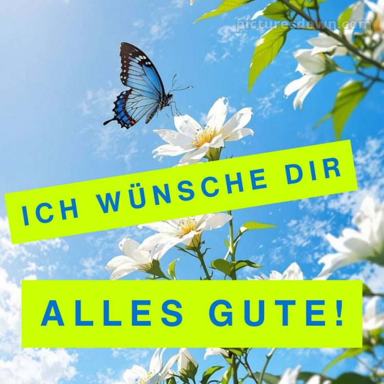 Ich wünsche dir alles gute bild 26 kostenlos