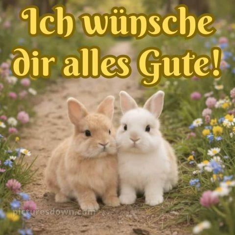 Ich wünsche dir alles gute bild 27 kostenlos