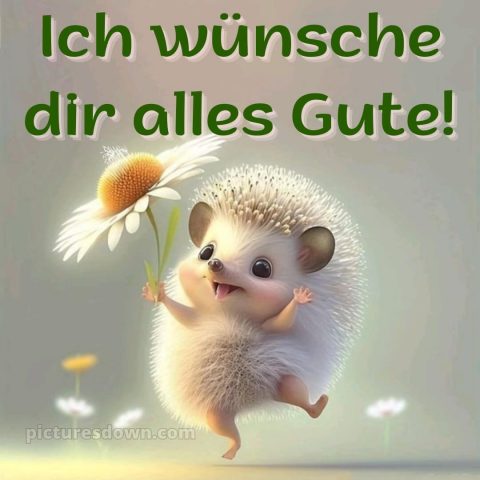 Ich wünsche dir alles gute bild 28 kostenlos