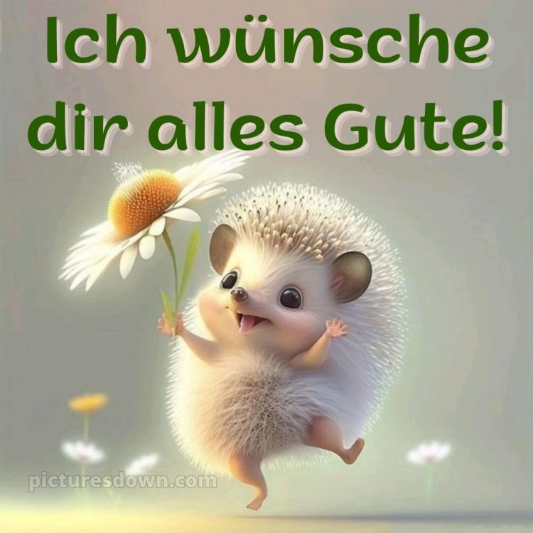 Ich wünsche dir alles gute bild 28 kostenlos