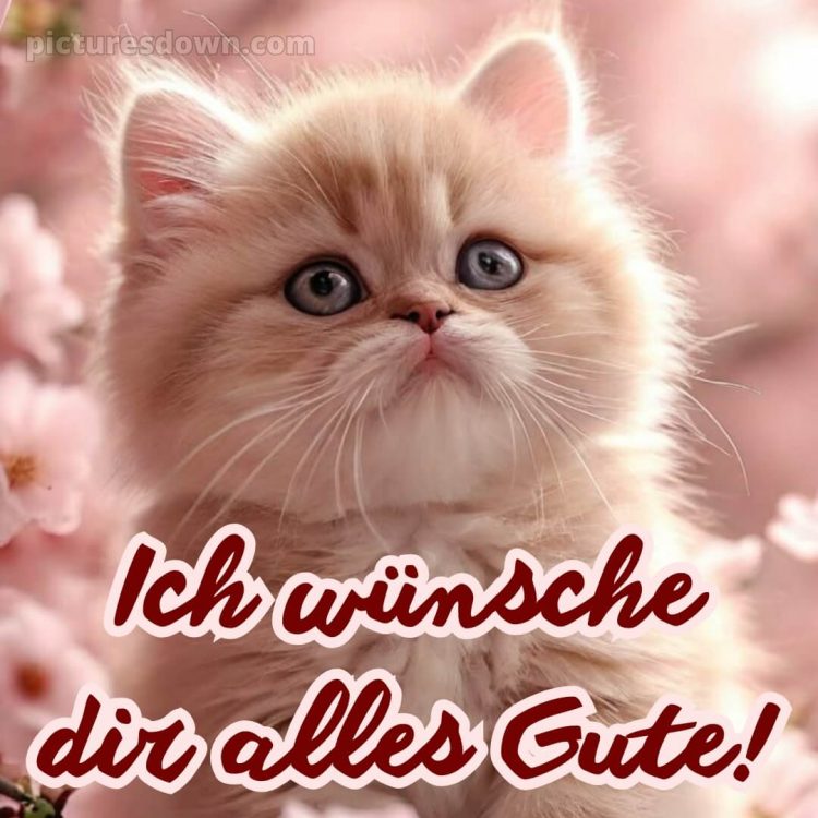 Ich wünsche dir alles gute bild 30 kostenlos