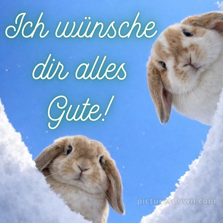 Ich wünsche dir alles gute bild 18 kostenlos