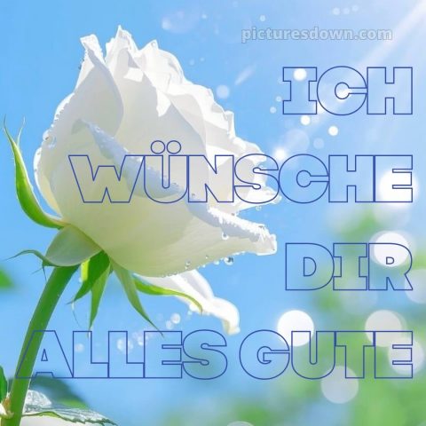 Ich wünsche dir alles gute bild 19 kostenlos