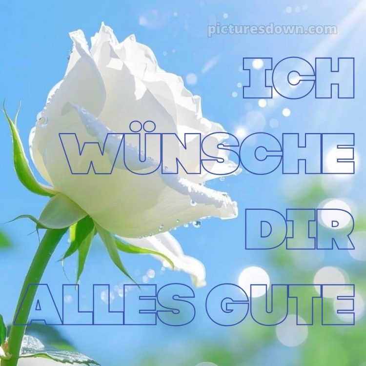Ich wünsche dir alles gute bild 19 kostenlos