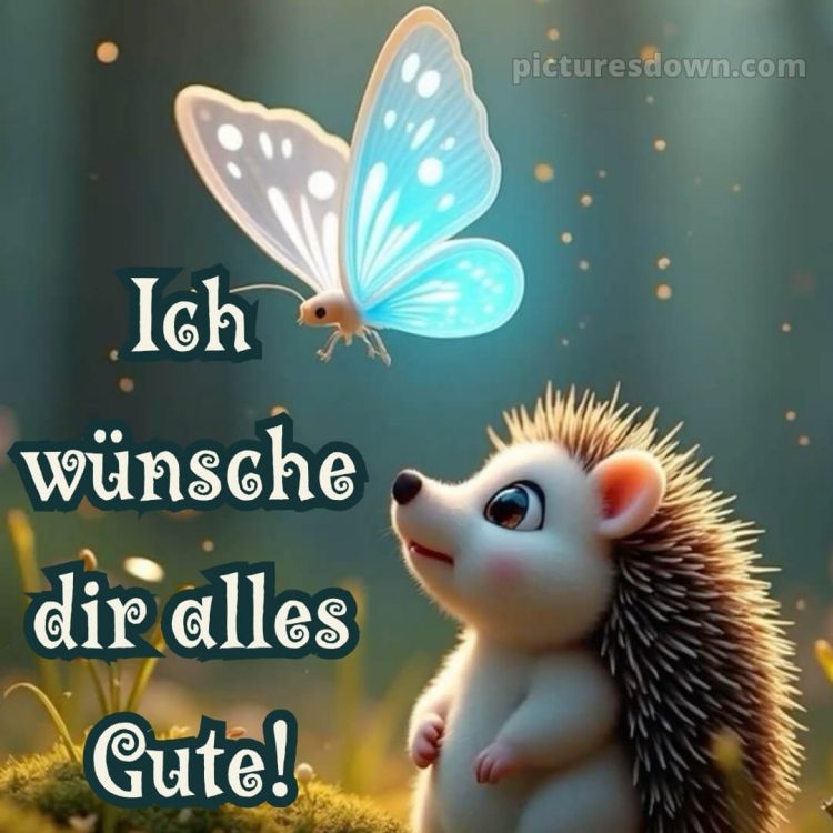 Ich wünsche dir alles gute bild 20 kostenlos