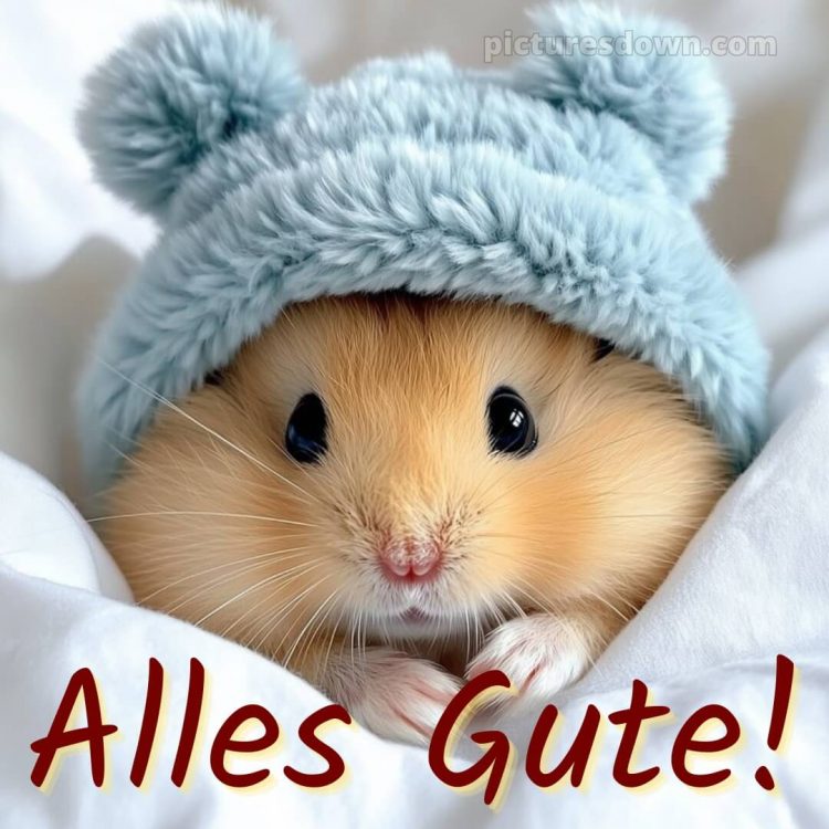 Ich wünsche dir alles gute bild 21 kostenlos