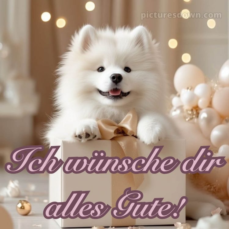 Ich wünsche dir alles gute bild 22 kostenlos