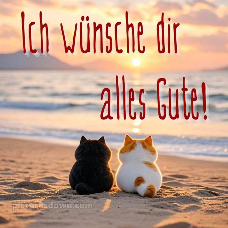 Ich wünsche dir alles gute bild 23 kostenlos