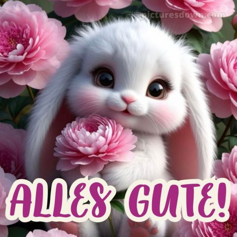 Ich wünsche dir alles gute bild 24 kostenlos