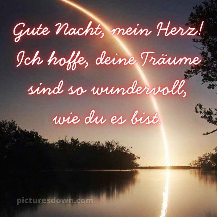Ich wünsche dir eine gute nacht bild 1 kostenlos