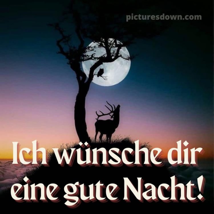Ich wünsche dir eine gute nacht bild 11 kostenlos