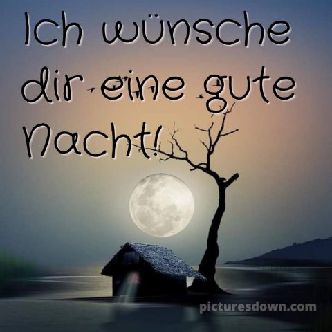 Ich wünsche dir eine gute nacht bild 7 kostenlos