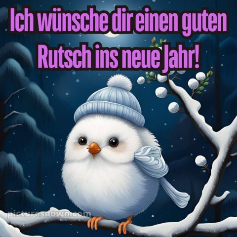 Ich wünsche dir einen guten rutsch ins neue jahr bild 13 kostenlos