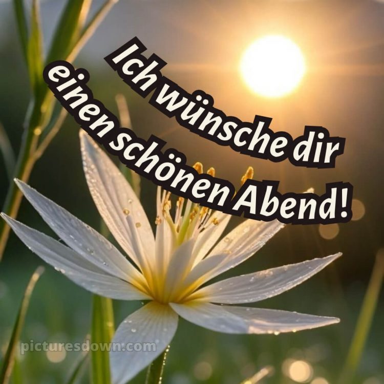 Ich wünsche dir einen schönen abend bild 10 kostenlos