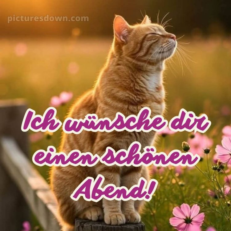 Ich wünsche dir einen schönen abend bild 13 kostenlos