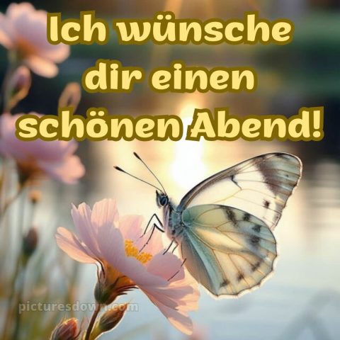 Ich wünsche dir einen schönen abend bild 14 kostenlos