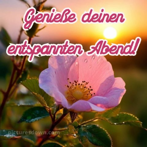 Ich wünsche dir einen schönen abend bild 15 kostenlos