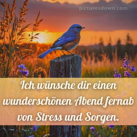 Ich wünsche dir einen schönen abend bild 3 kostenlos