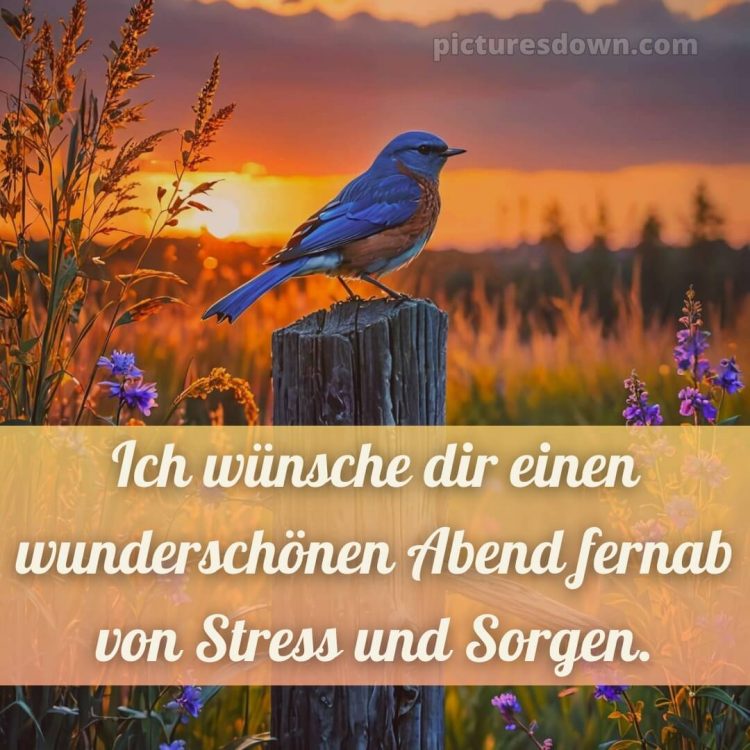 Ich wünsche dir einen schönen abend bild 3 kostenlos